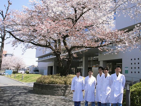 桜と研修医